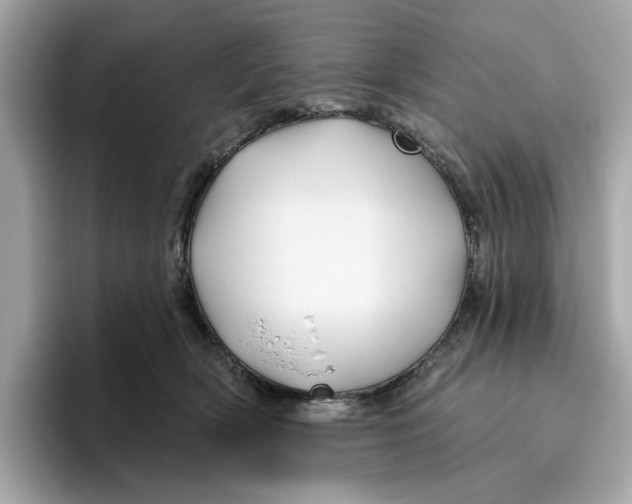 X0000096450418200802141516