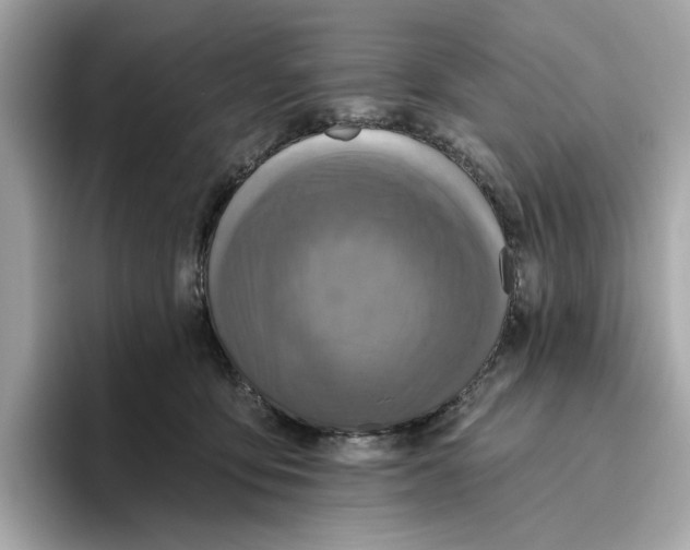 X0000096450419200802141516