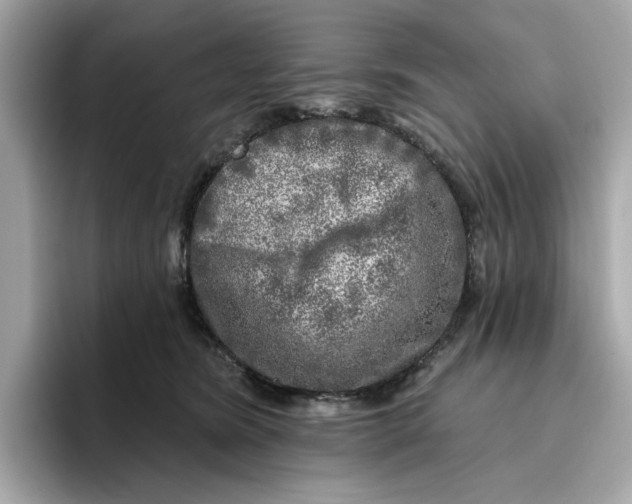 X0000096450420200802141516