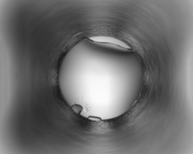 X0000096450421200802141516