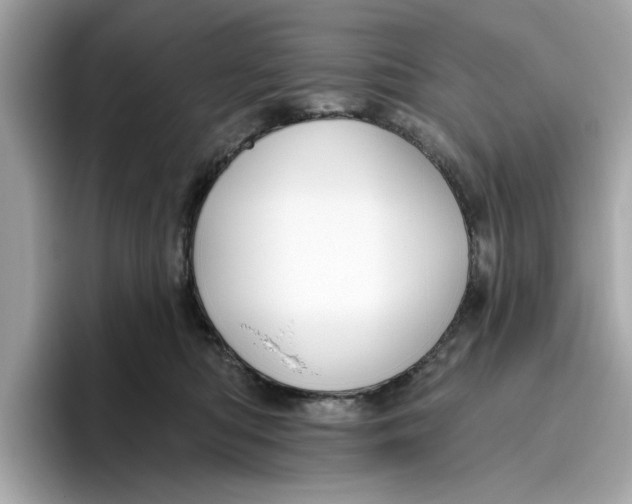 X0000096450422200802141516