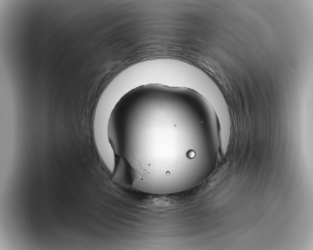 X0000096450423200802141516