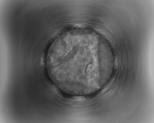 X0000096450424200802141516