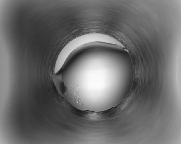 X0000096450425200802141516