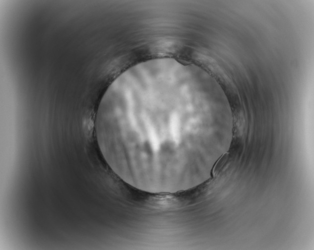 X0000096450427200802141516