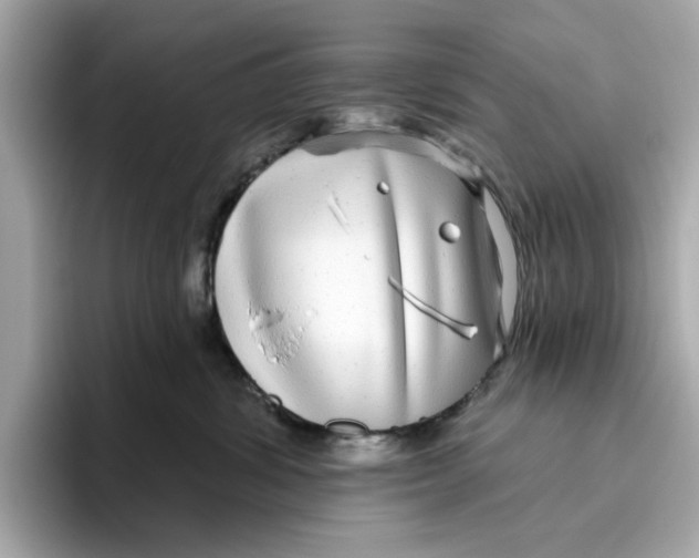 X0000096450428200802141516