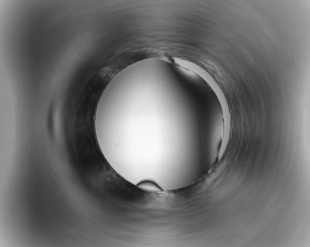 X0000096450429200802141516