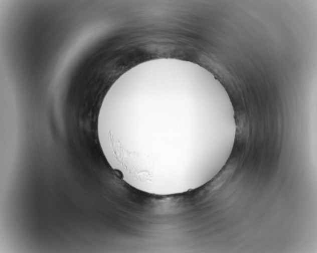 X0000096450430200802141516