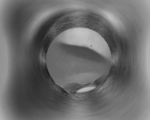 X0000096450431200802141516