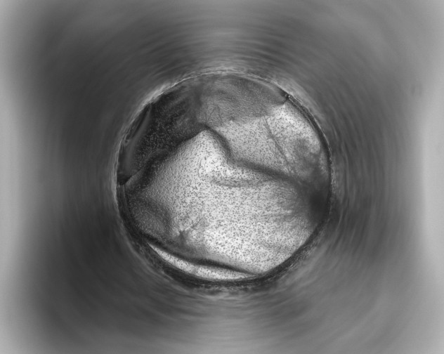 X0000096450434200802141515