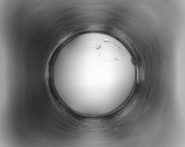 X0000096450435200802141515