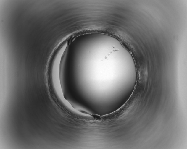 X0000096450436200802141515