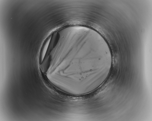 X0000096450438200802141515