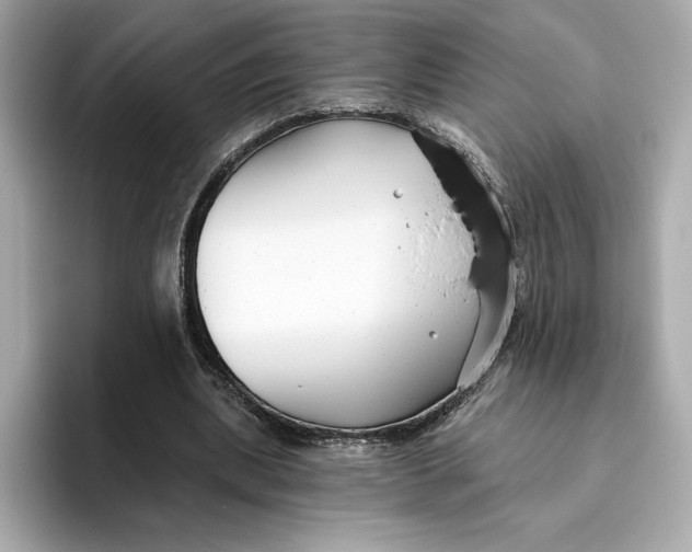 X0000096450439200802141515