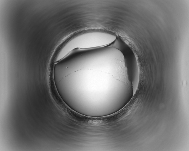 X0000096450440200802141515