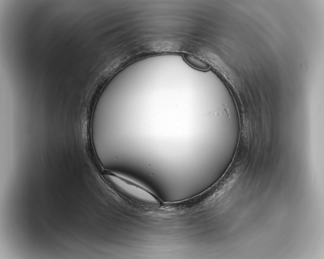 X0000096450441200802141515