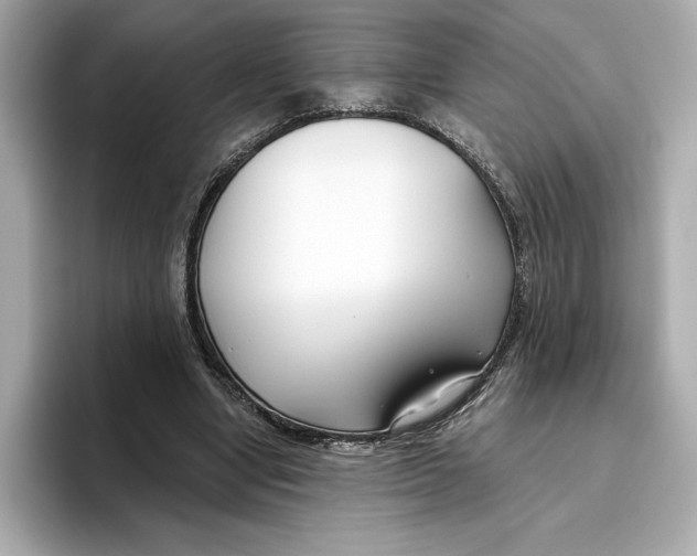 X0000096450442200802141515