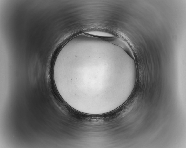 X0000096450443200802141515