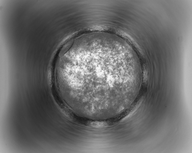 X0000096450444200802141515