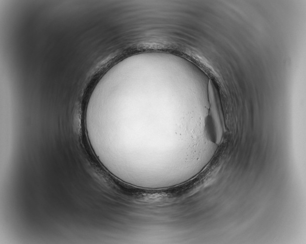 X0000096450446200802141515