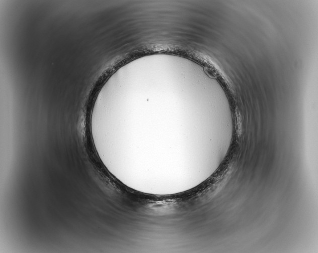 X0000096450447200802141515