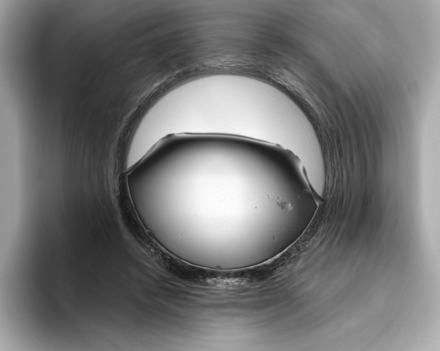 X0000096450448200802141515