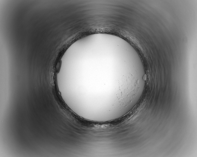 X0000096450450200802141515