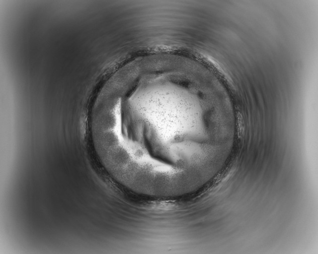 X0000096450451200802141515