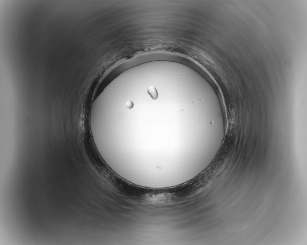 X0000096450452200802141515