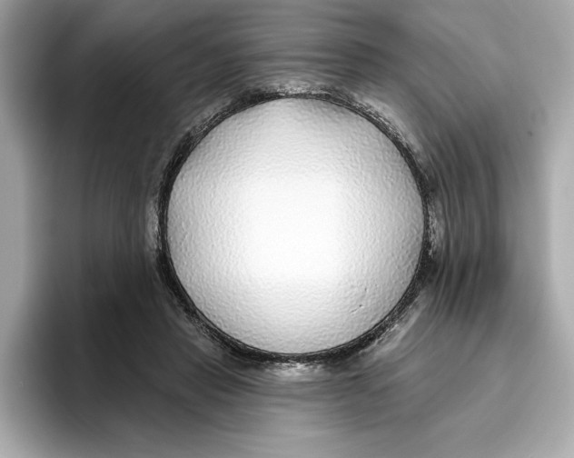 X0000096450453200802141515