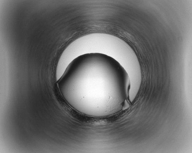 X0000096450456200802141515