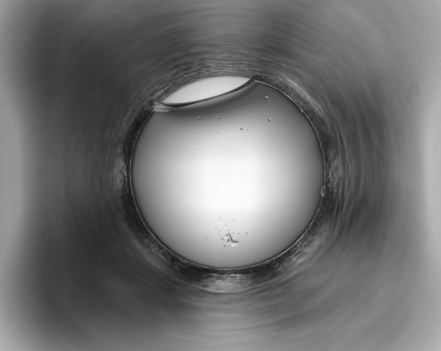 X0000096450459200802141515