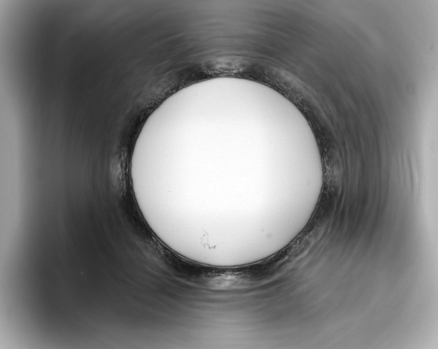 X0000096450460200802141515