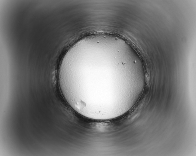 X0000096450462200802141515