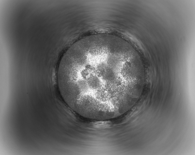 X0000096450465200802141515