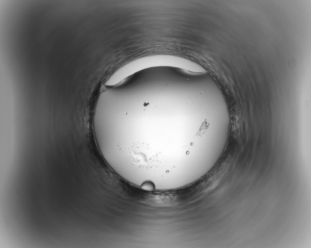 X0000096450466200802141516