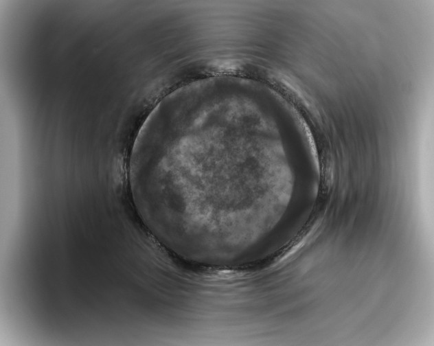 X0000096450467200802141516