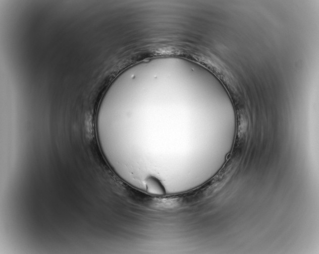 X0000096450469200802141516