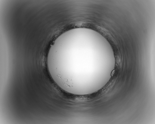 X0000096450470200802141516