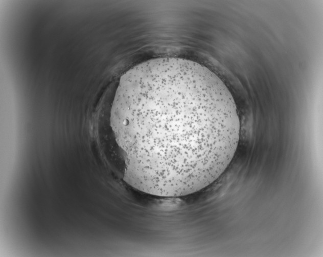 X0000096450474200802141516