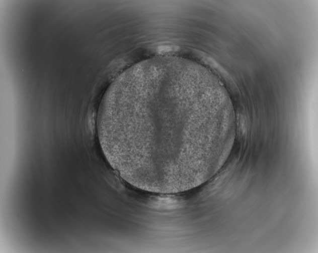 X0000096450475200802141516