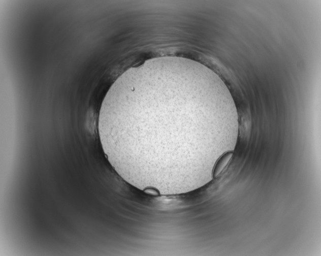 X0000096450477200802141516