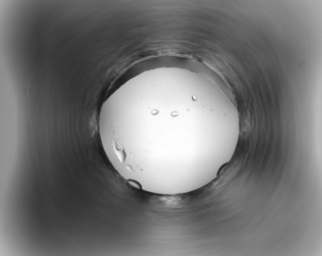 X0000096450478200802141516