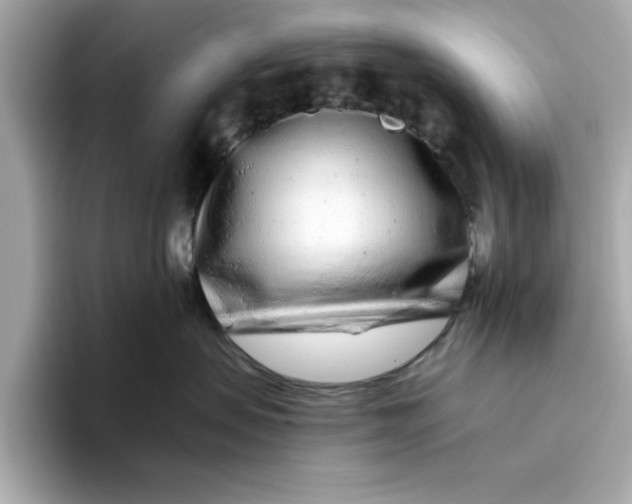 X0000096450479200802141516