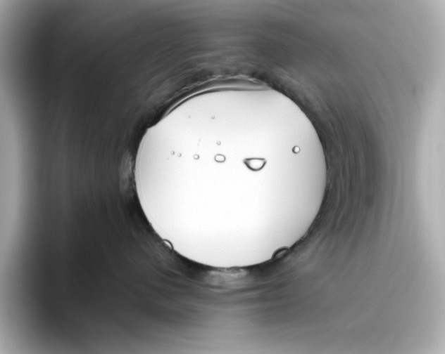 X0000096450480200802141516