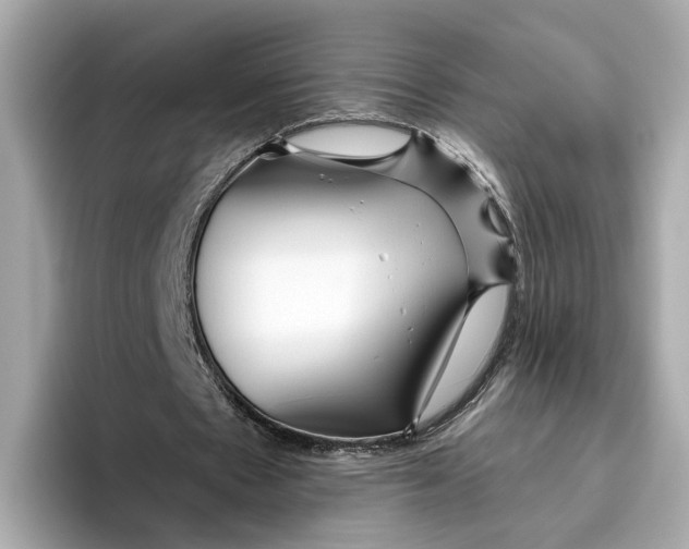 X0000096450481200802141515