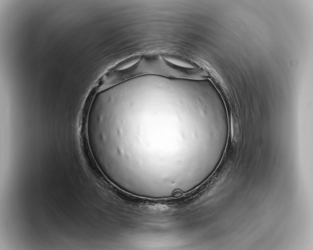 X0000096450483200802141515