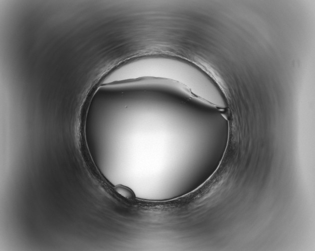 X0000096450485200802141515