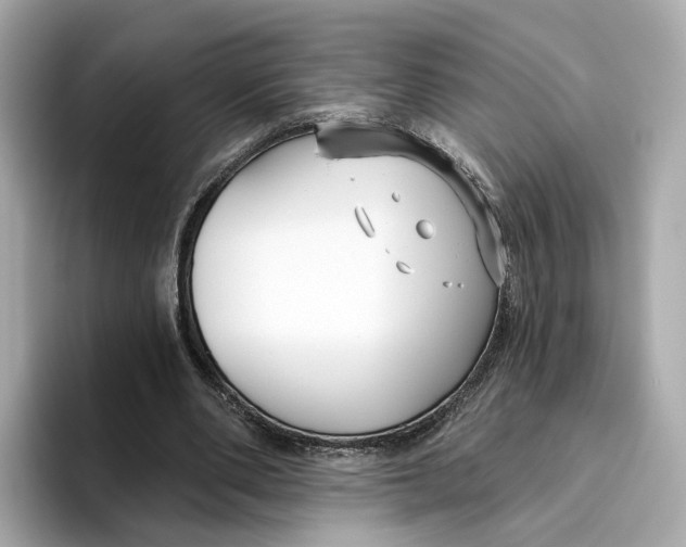 X0000096450486200802141515