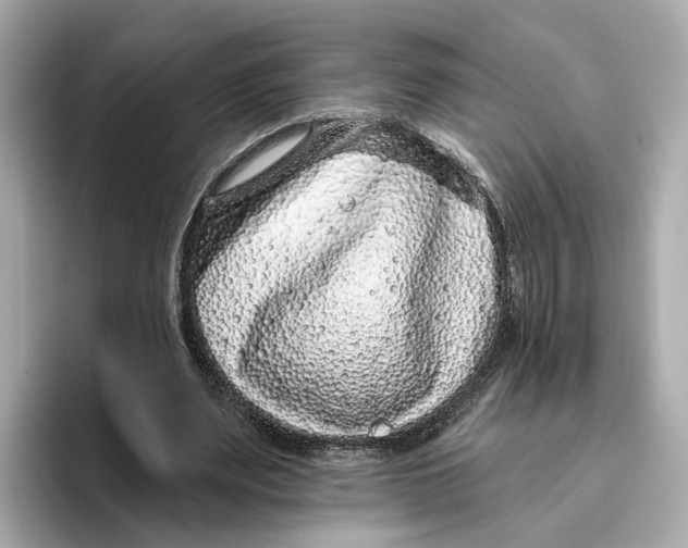 X0000096450487200802141515